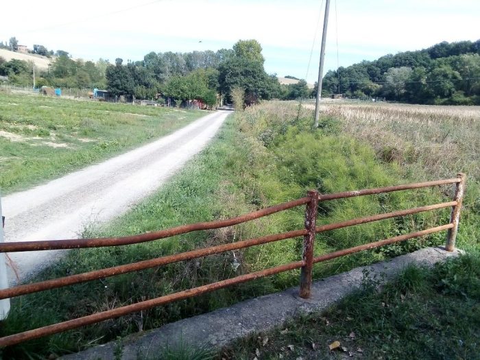 Buonconvento: Sp 75 Pieve a Salti, strada più sicura grazie al Consorzio di Bonifica