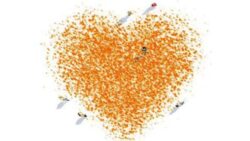 Torna #cuoriconnessi, l&rsquo;evento di Polizia di Stato e Unieuro contro il cyberbullismo