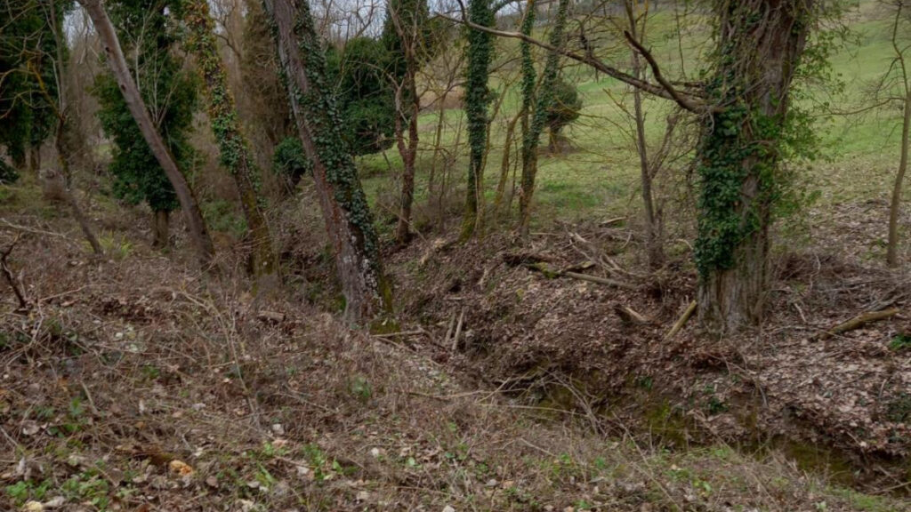Consorzio di Bonifica, intervento al fosso Val di Montone a Siena