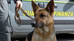 Con la droga alla stazione, fermato a Chiusi uno studente appena maggiorenne