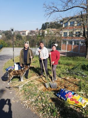 Nuove radici al Bandini: piantato l'albero dedicato a Falcone e Borsellino