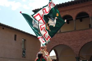 Oca alle urne per il rinnovo della Sedia