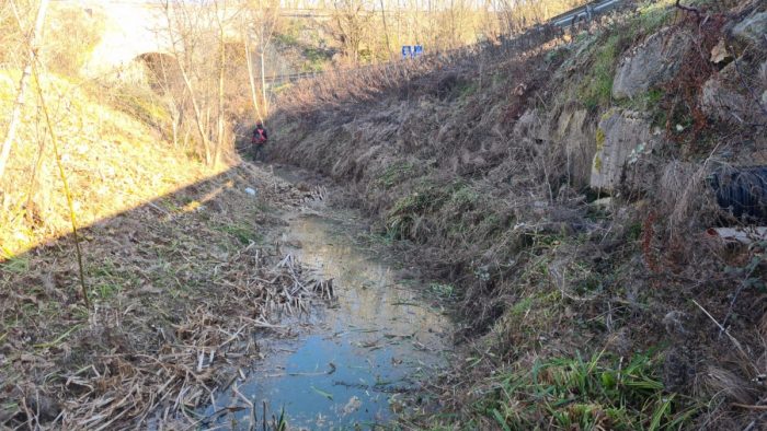 Consorzio di Bonifica, rimossa la vegetazione infestante nel fosso Borrino