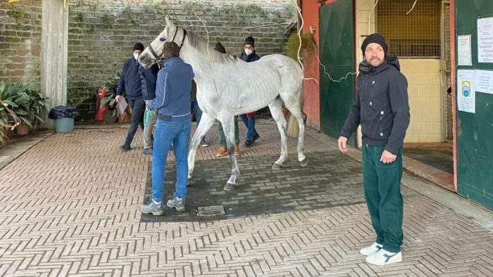 Primo giorno di previsite, Carboni: "Siamo fiduciosi e pronti per ripartire"