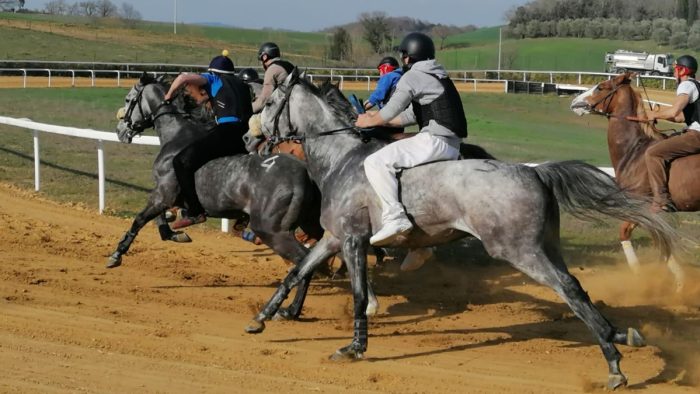 Palio di Siena, i capitani a confronto a Palazzo Pubblico con la sindaca Fabio