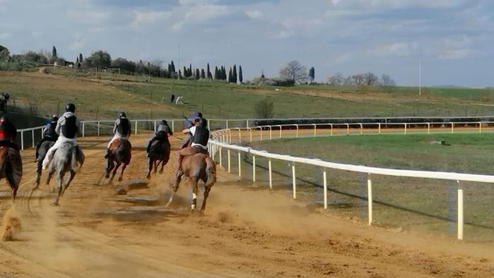 Protocollo Equino 2024, ancora nessuna notizia ufficiale