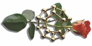 So.Crem Siena, imponente progetto di riorganizzazione e catalogazione dell’archivio storico dell’associazione