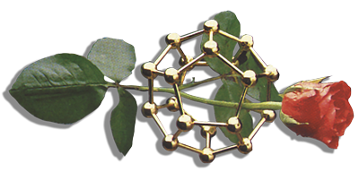 So.Crem Siena, imponente progetto di riorganizzazione e catalogazione dell’archivio storico dell’associazione