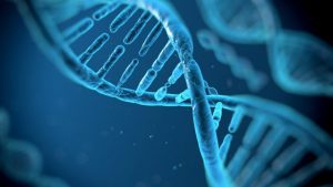 Nasce "Gene_Si" in vista delle amministrative, nel dna l&rsquo;appoggio a De Mossi
