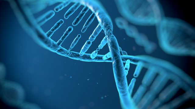 Nasce "Gene_Si" in vista delle amministrative, nel dna l&rsquo;appoggio a De Mossi