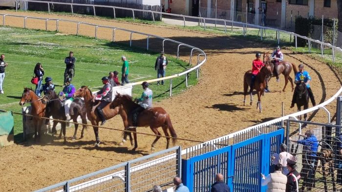 Corse a Monteroni d'Arbia, l'organizzatore Trapassi: "Senza passione non si potrebbe fare"