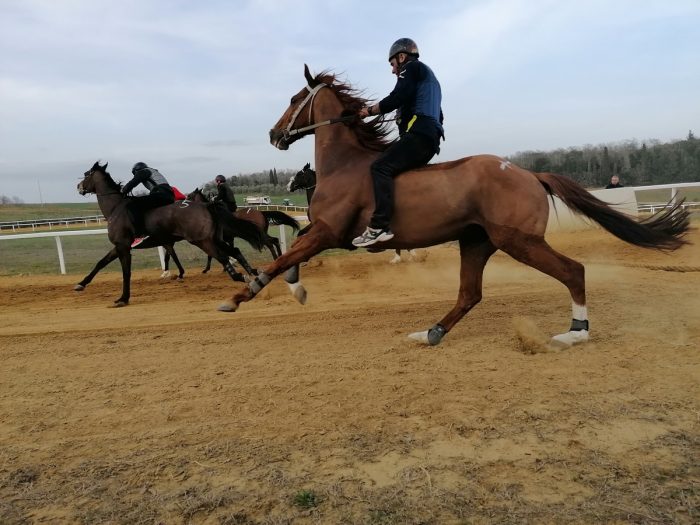 Palio: nuovo appuntamento marted&igrave; a Mociano. Ecco il programma