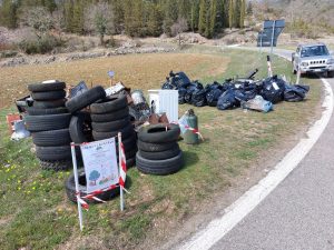 Boschi più puliti a Gaiole in Chianti grazie ai cacciatori