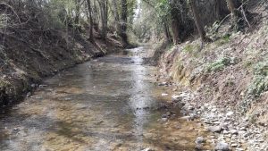 Rischio esondazioni a Montaperti, il Consorzio di Bonifica effettua lavori