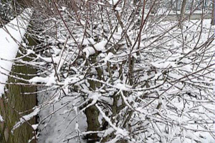 Neve, vento e mareggiate: codice giallo in Toscana