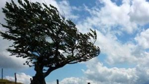 Domani allerta gialla per vento su tutta la Toscana