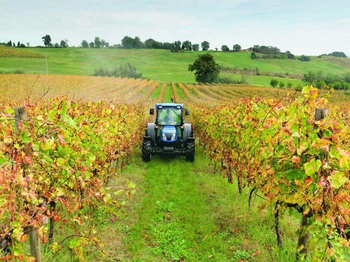 Coldiretti, è nelle campagne della Toscana la seconda vita dei pensionati