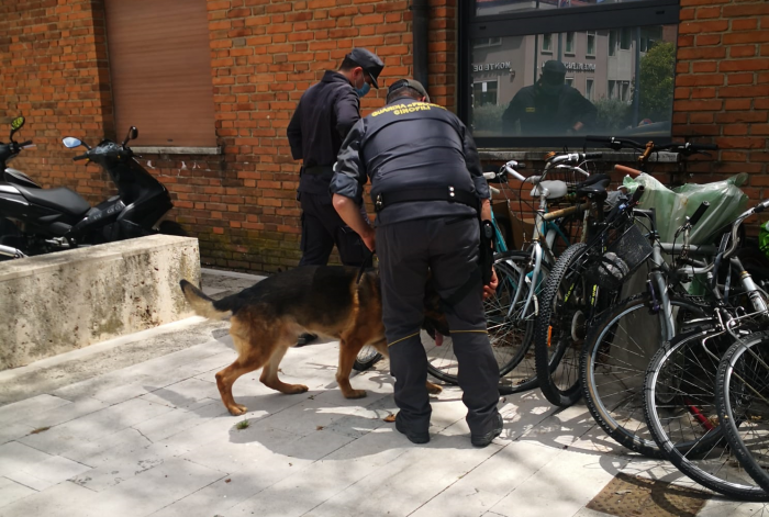 Siena: controlli antidroga della Guardia di Finanza, denunciati 9 giovani