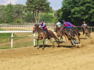 Addestramento cavalli da Palio, domani ultimo appuntamento a Mociano: il programma