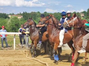 Monticiano: pista in pessime condizioni, cadono cavalli e fantini