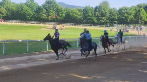 Domani l'ultimo appuntamento con le corse di addestramento a Monticiano