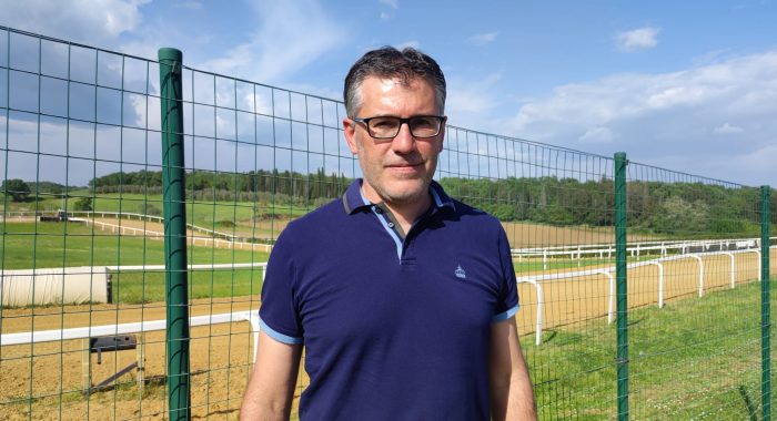 Protocollo equino: buoni progressi per i cavalli meno esperti