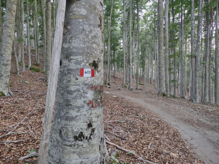 Dieci anni di cammino insieme: il Gruppo Trekking Senese APS festeggia il suo primo decennio di attività