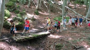Cai di Siena: il 22 Maggio "Giornata dei sentieri" a Sovicille