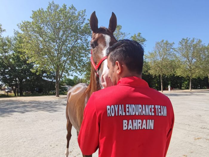 I cavalli del principe del Bahrain a Montalcino per la gara di Endurance