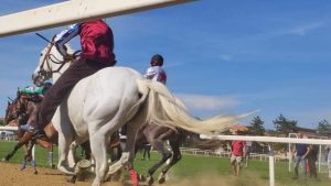 Corse a Monteroni d'Arbia: spunti interessanti di fantini e cavalli