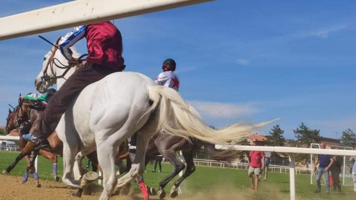 Corse a Monteroni d'Arbia: spunti interessanti di fantini e cavalli