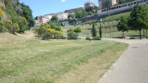 Siena, il Comune al lavoro per il taglio dell'erba