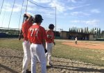 Baseball serie C: Estra Siena battuto da Arezzo