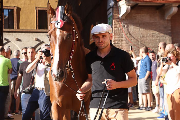 Commissione veterinaria nella stalla della Civetta per controllare Vankook. Scende Bighino, ecco Grandine