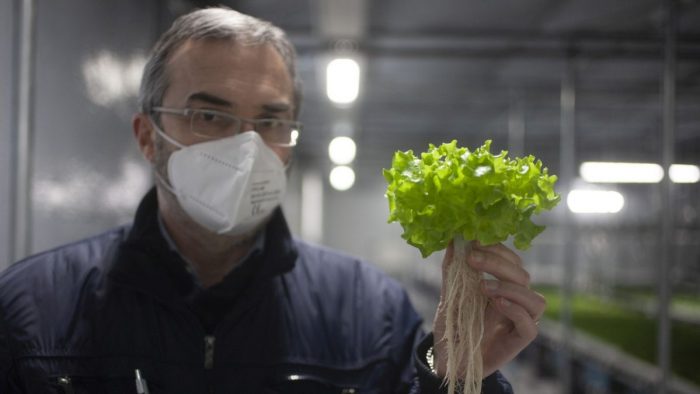 Innovazione, a Colle Val d'Elsa l'azienda che coltiva le piante in aria