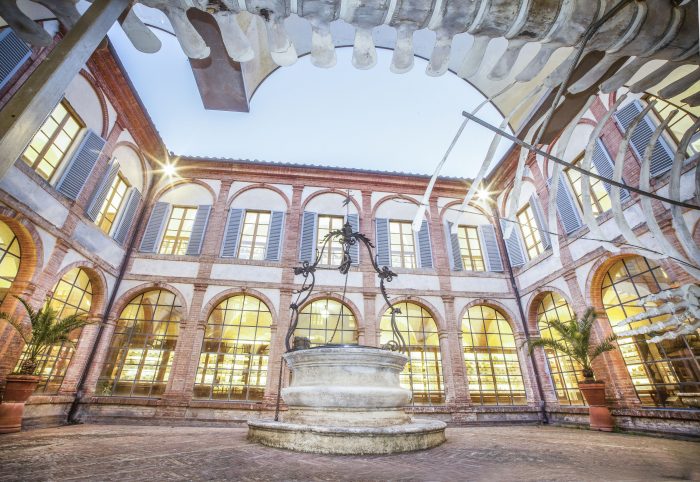 "Sotto la balena: bestie, piante, minerali e altre storie", appuntamento inedito ai Fisiocritici