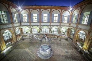 "Destatevi" all'Accademia dei Fisiocritici di Siena: "I corpi mentono. Le ossa accusano: cold case del Medioevo"