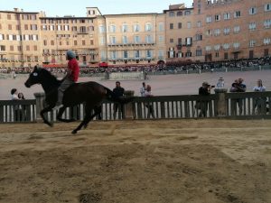 Palio 2 luglio 2023: le batterie delle prove regolamentate del 27 e 28 giugno