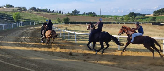 Addestramento, Calbucci fa il bilancio: "Confortante aver visto tante vecchie conoscenze in buone condizioni"