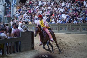 Prima Prova - La gallery