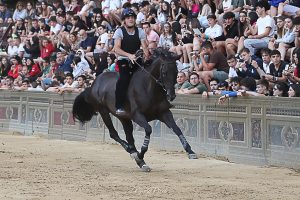 Prima giornata di prove regolamentate: la gallery