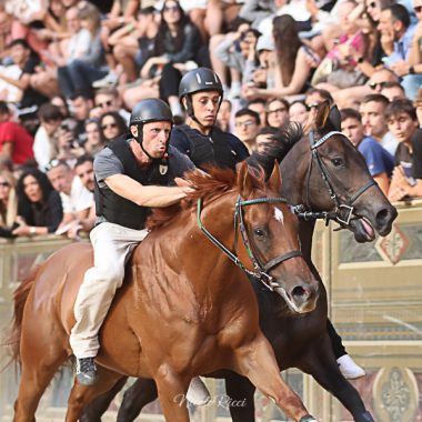 Palio Luglio 2022 prove di notte 28 Giugno 2022 (1338)