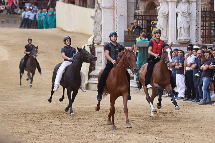 Palio 16 agosto: 60 i cavalli ammessi alle prove regolamentate, 4 direttamente alla Tratta