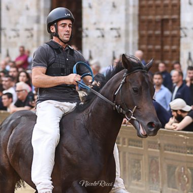 Palio Luglio 2022 prove di notte 28 Giugno 2022 (1593)