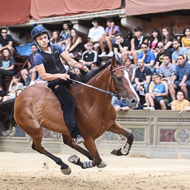 Palio Luglio 2022 prove di notte 28 Giugno 2022 (1739)