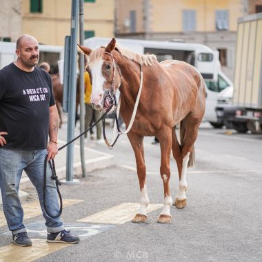 ProvediNotte_28_06_22 _ MCB-48