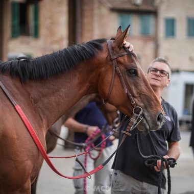 ProvediNotte_28_06_22 _ MCB-51