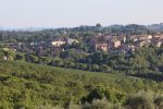 Castelnuovo, decoro urbano e viabilità: dalla giunta via libera a interventi per 45 mila euro