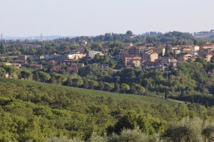 Castelnuovo Berardenga: il mercato a Quercegrossa torna il venerdì in via Tarantelli