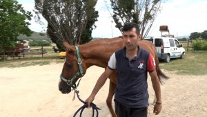 Solo Tue Due non sarà alla previsita